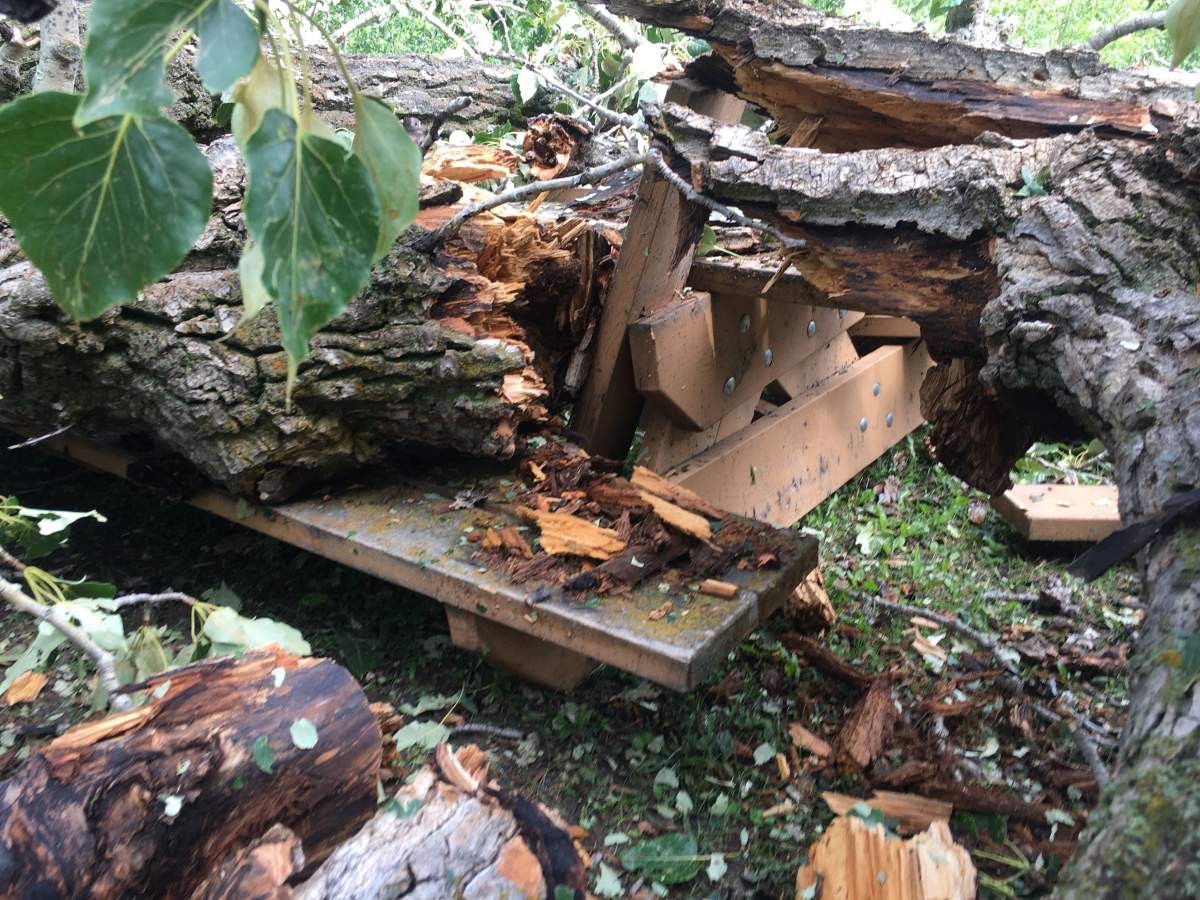 Damage at a Bottrel, Alta., campground on July 25, 2020.