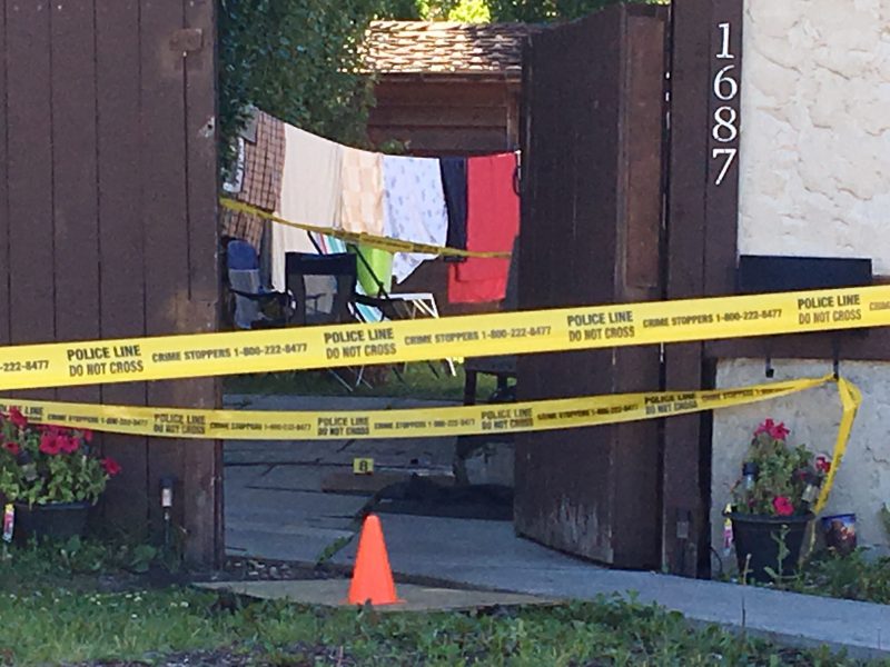 Edmonton police investigate the death of a man found in the area of 16 Avenue and 42 Street just before 7:30 p.m. on Sunday, July 26, 2020. 