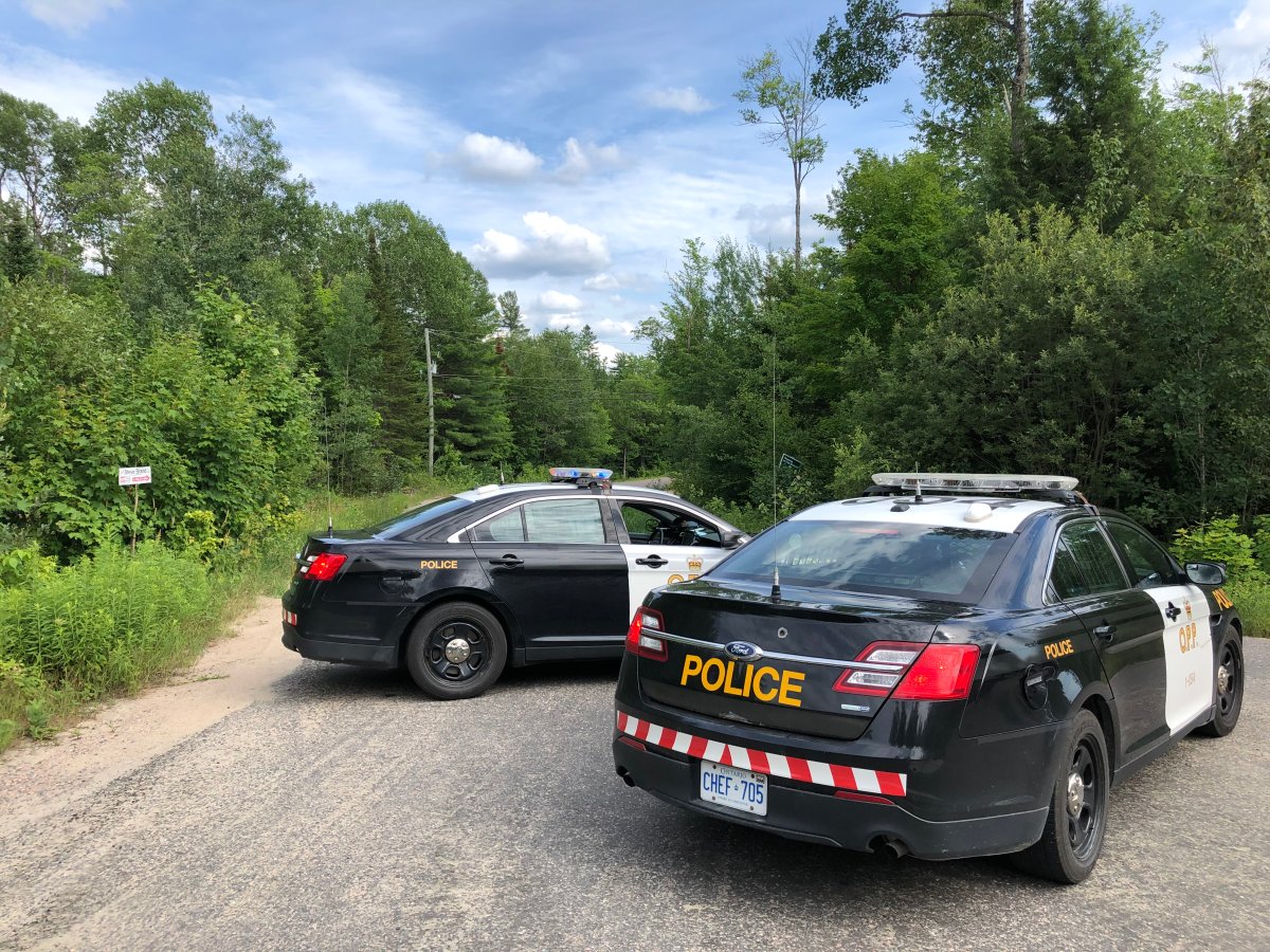 OPP are looking for a man who tried to abduct a woman walking on a rural road in Mississippi Mills Township earlier this week.