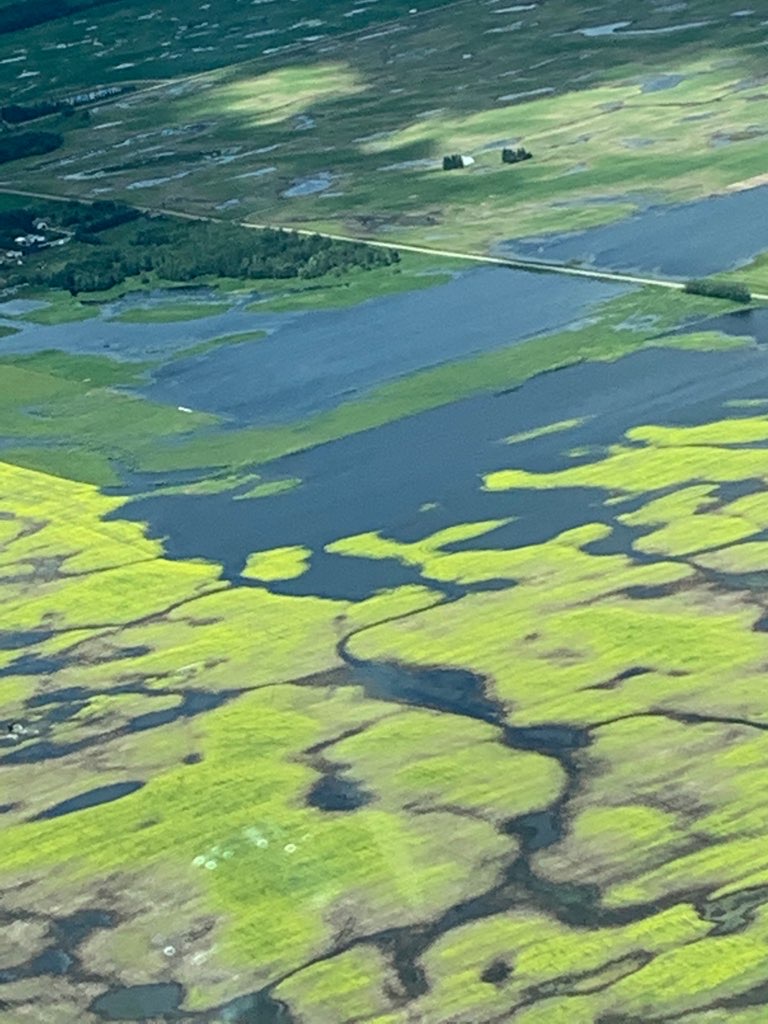 Crops in Thorhild county look more like lakes. Farmer Chris Allam says it’s going to be another difficult harvest.