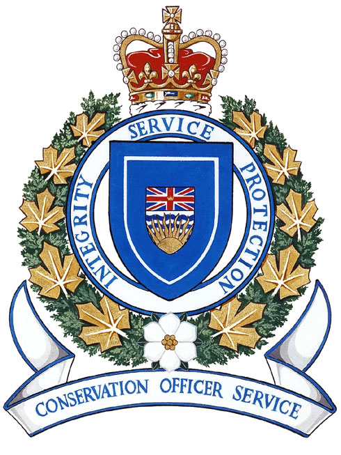 B.C. Conservation Officers euthanized a bear over the weekend that was deemed a public safety risk at a Coquitlam golf course.