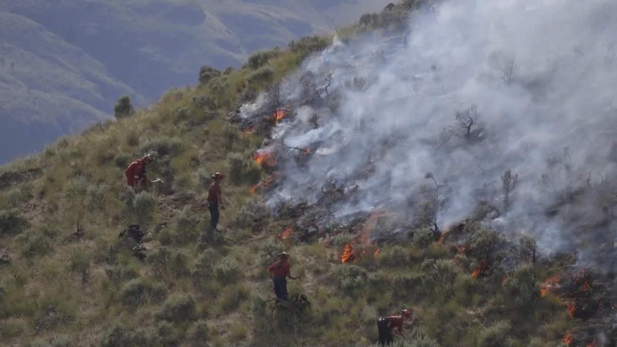 A grass fire that started near Kamloops is approximately three hectares in size and classified as being held. 