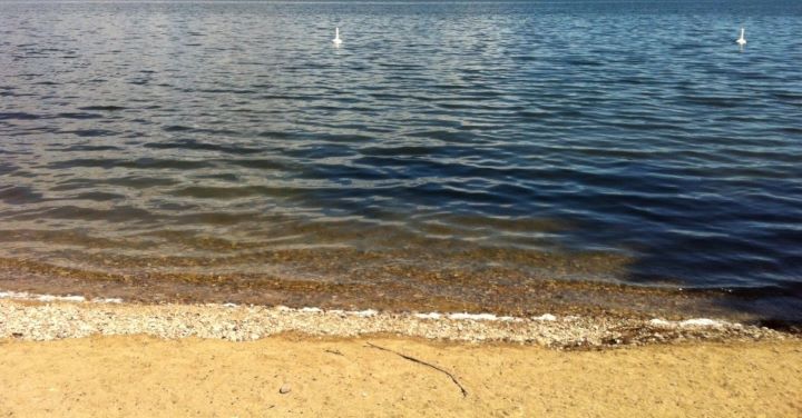 Wasaga Beach, Ont., has decided to close its main beach area -- the sand-covered portion of Beach Drive -- after recent crowds ignored coronavirus protocols.