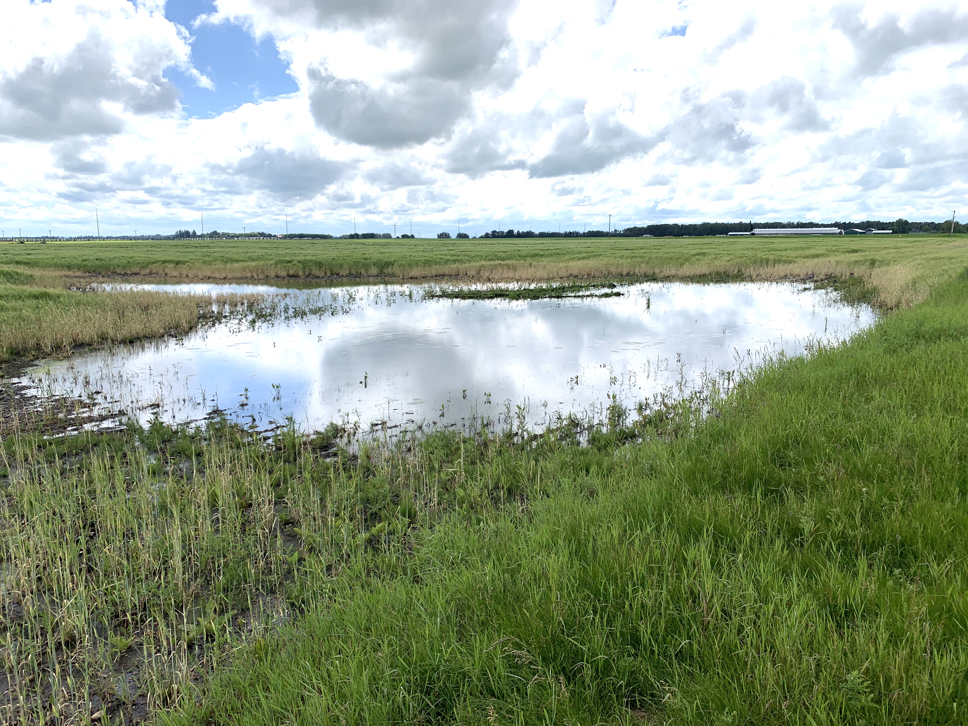 Record rain feeding into soggy start to Manitoba summer