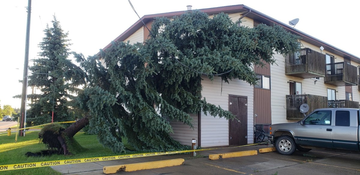 Trees toppled, buildings damaged south of Edmonton as severe weather