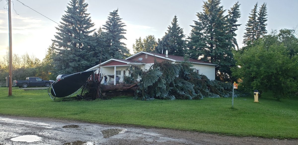 Trees toppled, buildings damaged south of Edmonton as severe weather