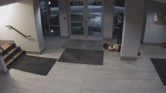 Last month, disturbing video was released of university nursing student Mona Wang being dragged and stepped on while handcuffed during a mental-health wellness check in Kelowna in January.