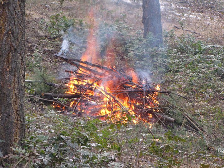 On Friday, the province announced a ban on Category 2 open burning in the Kamloops Fire Centre.