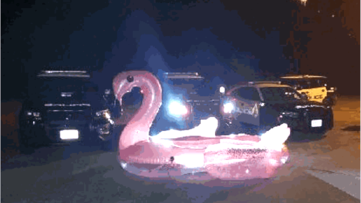 Hamilton Police rescue family stranded on flamingo pool float on Lake Ontario. 