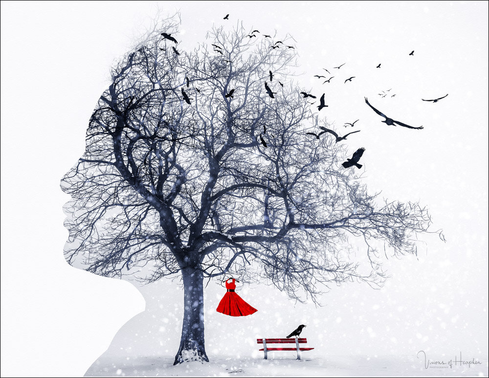 Edmonton digital artist Heather Fryer has created a series of images in support of Murdered and Missing Indigenous Women.