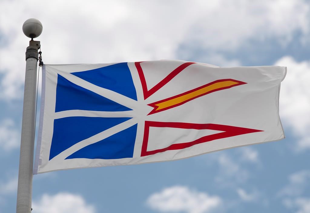 Newfoundland and Labrador's provincial flag flies on a flag pole in Ottawa, Friday July 3, 2020.