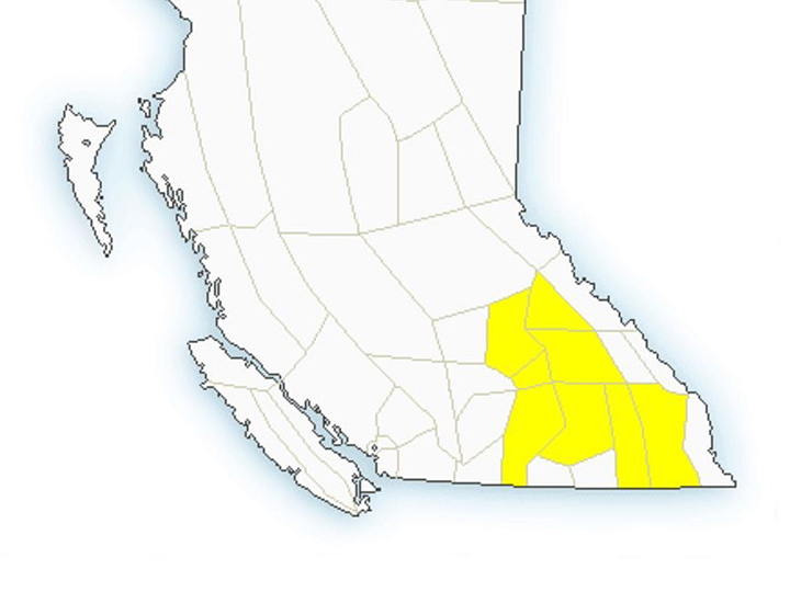 Environment Canada says weather conditions are favourable for severe thunderstorms that could create wind gusts, hail and heavy rain.