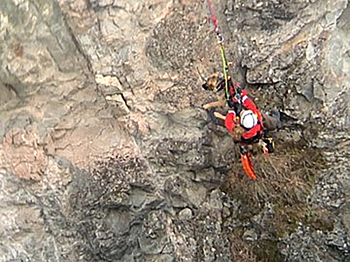 A Penticton Search and Rescue member seen scaling Trout Creek canyon near Summerland, B.C., with the harnessed German shepherd.