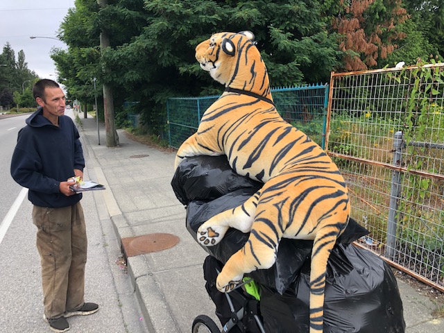 The stuffed tiger, out for a stroll Thursday morning. Credit: Global News