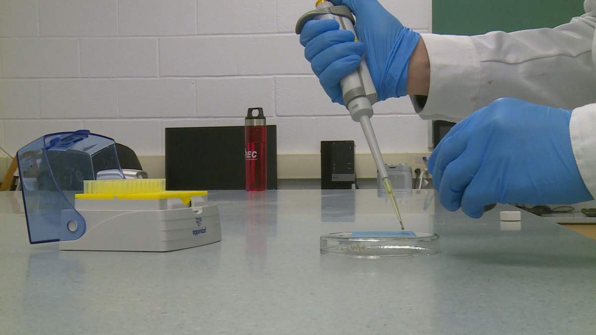 Researchers at the University of New Brunswick are coming up with a faster way to diagnose COVID-19 with point-of-care devices that can be used by clinicians.