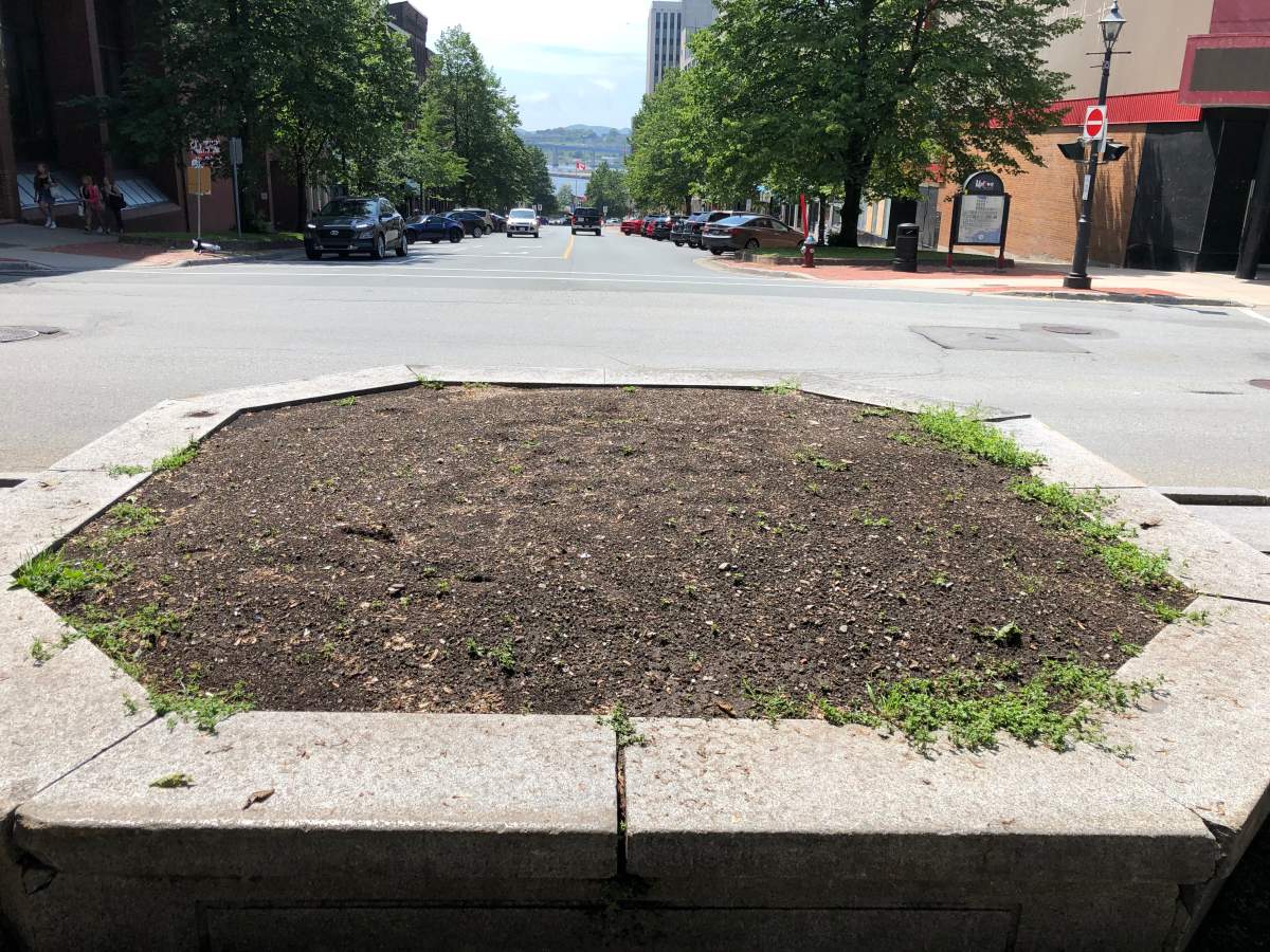 An empty flower bed in Kings Square in Saint John, N.B.