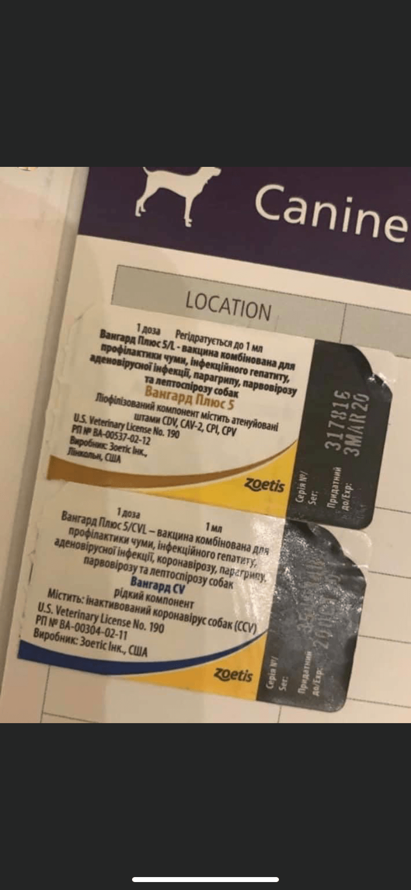 Quebec investigating dog breeder based out of Côte SaintLuc over