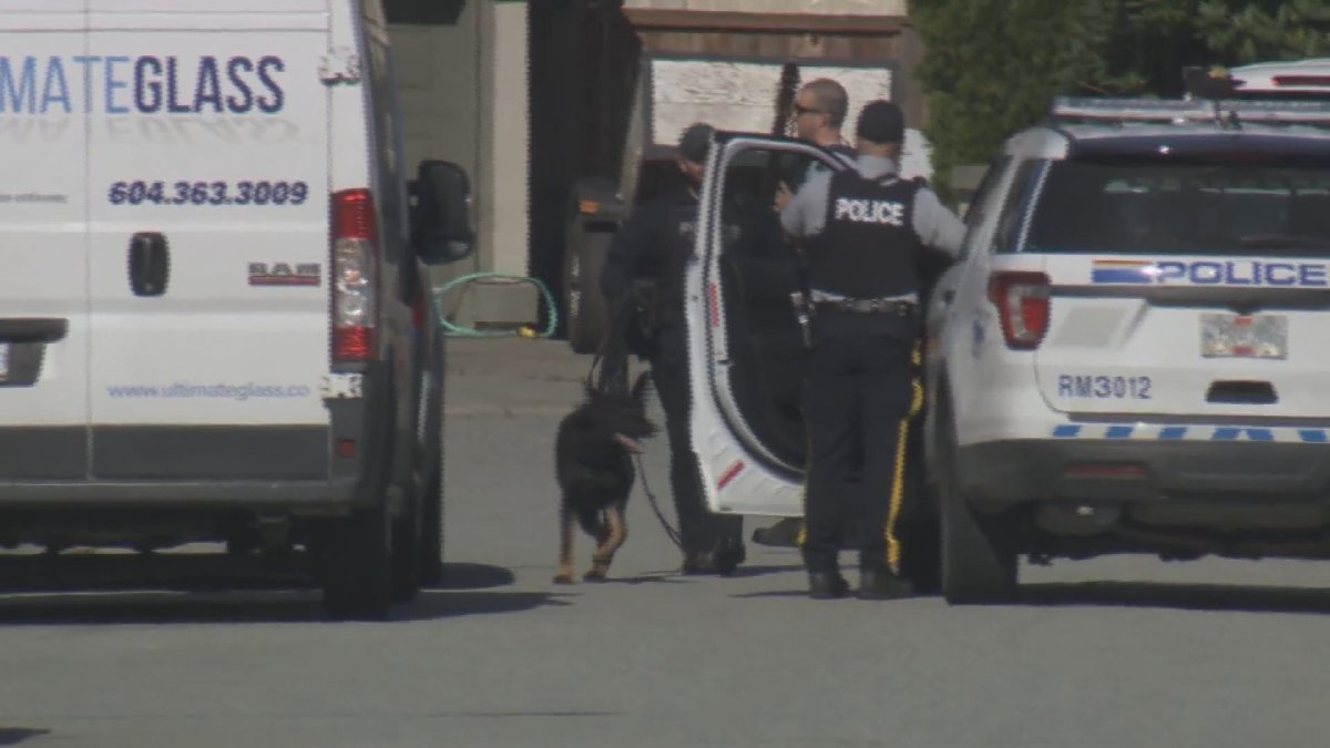 The K9 team was brought in to the quiet Maple Ridge neighbourhood Monday morning.