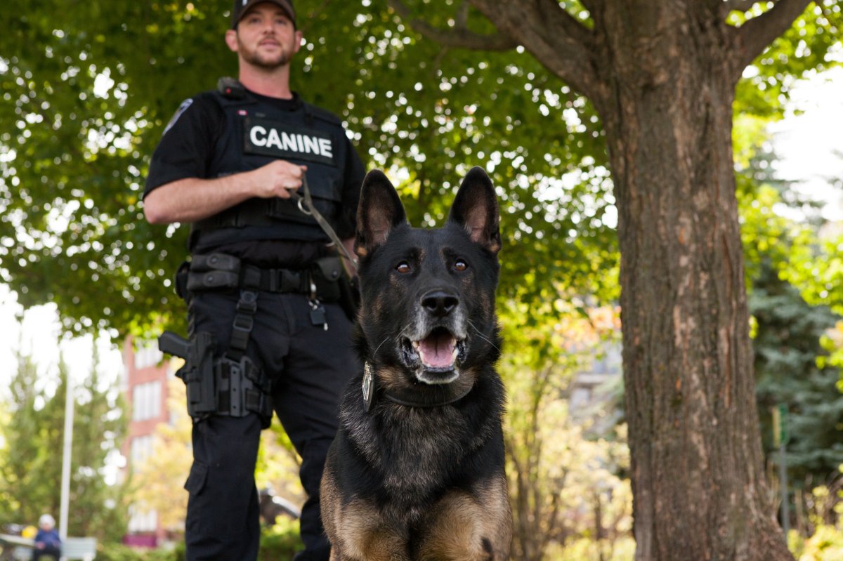 Peterborough Police Service Dog Wolfe with Const. Tim Fish in 2018.
Wolfe recently died after serving seven years with the police force.