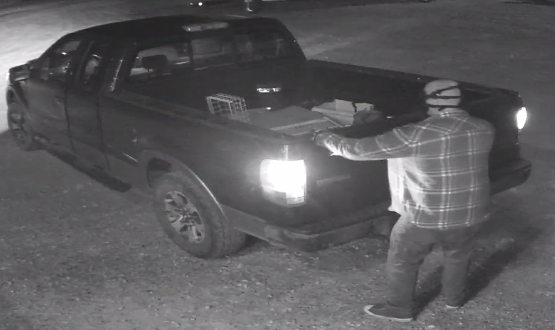 Enterprising thieves steal motorcycles, trailer from Île-des-Chênes, Man., shop in overnight heist - image