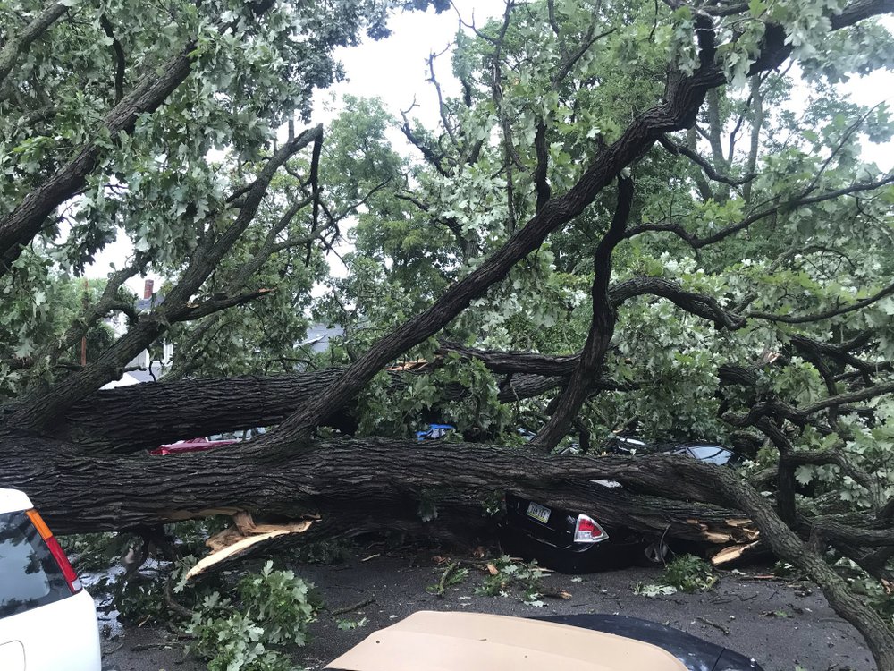 A storm with gusts more than 80 mph knocked down a tree, which crushed about four cars in Des Moines, Iowa on Monday, Aug. 10, 2020. No one was injured. 