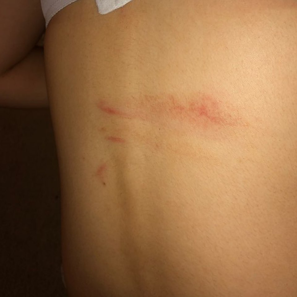 UBC student says no one intervened as she was attacked, robbed on Vancouver bus - image