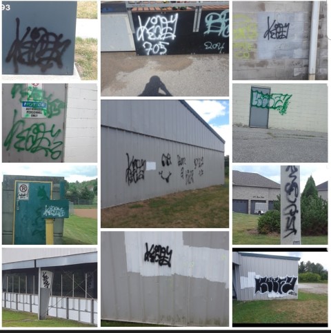 Investigators say there was graffiti on the exterior walls of a Thornton's outdoor hockey rink, portable toilets, community centre building, as well on various electrical boxes and light standards.