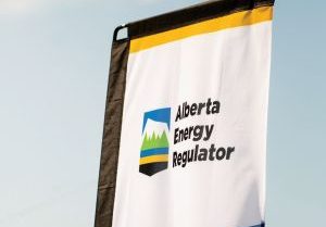 The Alberta Energy Regulator logo is seen on a flag at the opening of the regulator's office in Calgary in an undated handout photo. 