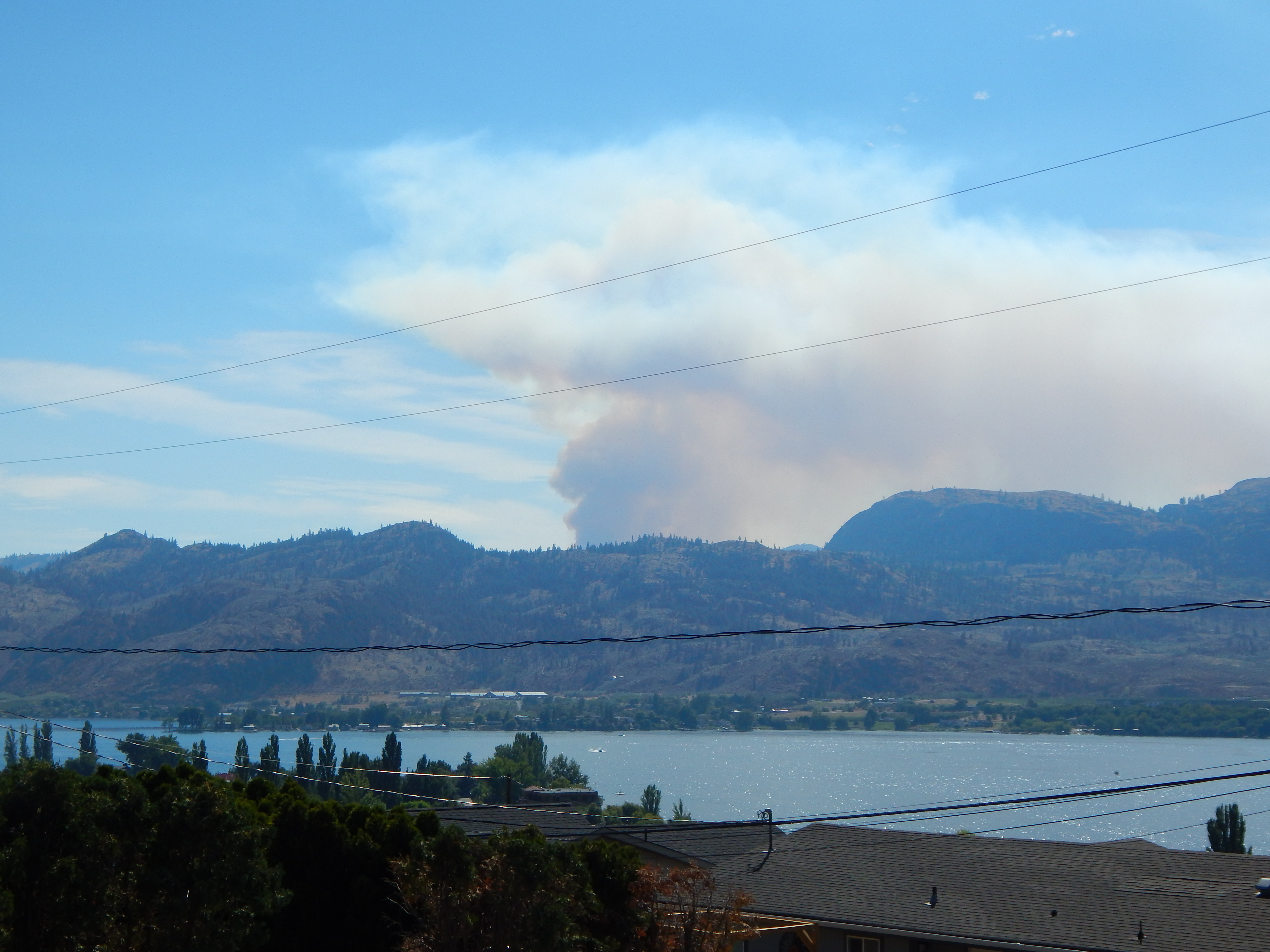 Massive Palmer Wildfire South Of Border Not Expected To Threaten Osoyoos B C Fire Officials Globalnews Ca