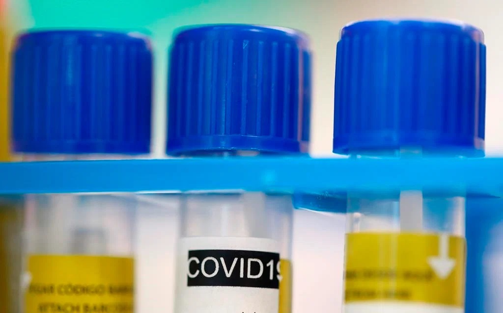 New Brunswick reported no new cases of COVID-19 on Saturday.