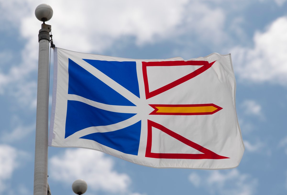 Newfoundland and Labrador's provincial flag flies on a flag pole in Ottawa,  Friday July 3, 2020. A challenge of Newfoundland and Labrador's COVID-19 travel ban is expected to be heard before the province's supreme court beginning today. THE CANADIAN PRESS/Adrian Wyld.