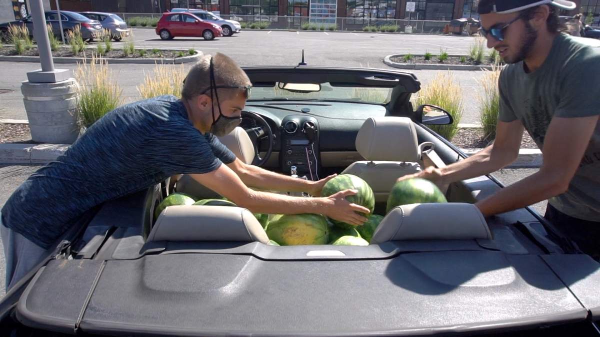 Evgeny Patvakanov, left, and Victor Rene de Cotret, shown in this handout image, drove around a residential Montreal neighbourhood dropping watermelons on unsuspecting residents' doorsteps. The mischief makers behind the evgeny YouTube channel say the goal of the produce prank is to sow "chaotic good." 
.