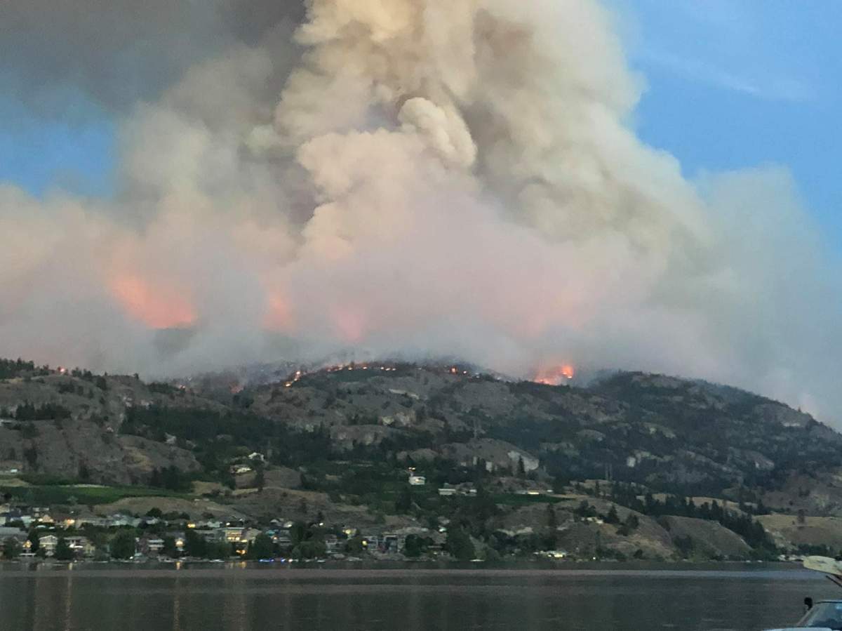 The Christie Mountain wildfire. Courtesy: Tanya Robertson