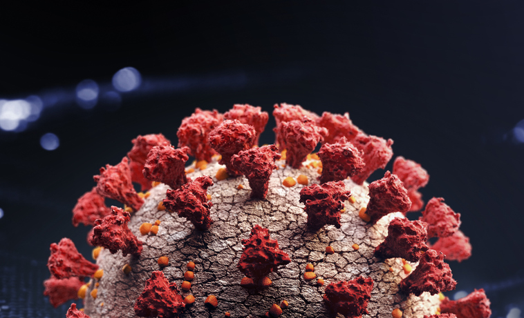 Corona virus close up.