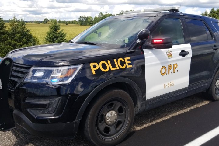 Man charged in connection with road rage incident in Alliston, Ont.