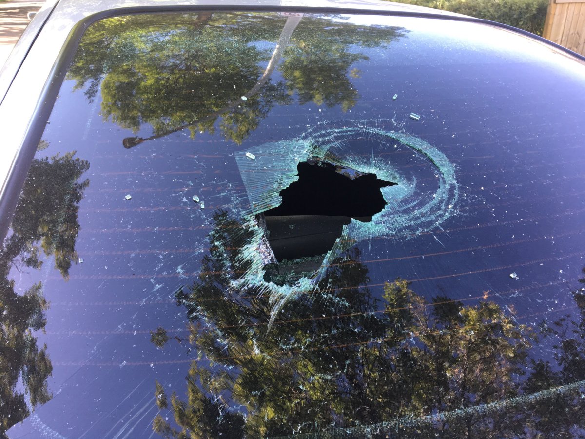 Seven vehicles and one business had their windows smashed in the area of 119 Street and 127 Avenue Tuesday, Aug. 18, 2020.