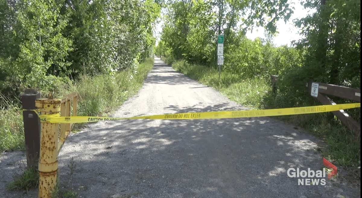Peterborough Police Service Chief Scott Gilbert says a woman managed to intervene during an alleged sexual assault and kidnapping in Jackson Park on Monday morning.