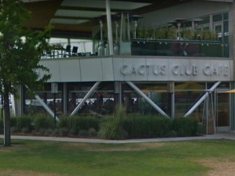 Cactus Club | News, Videos & Articles