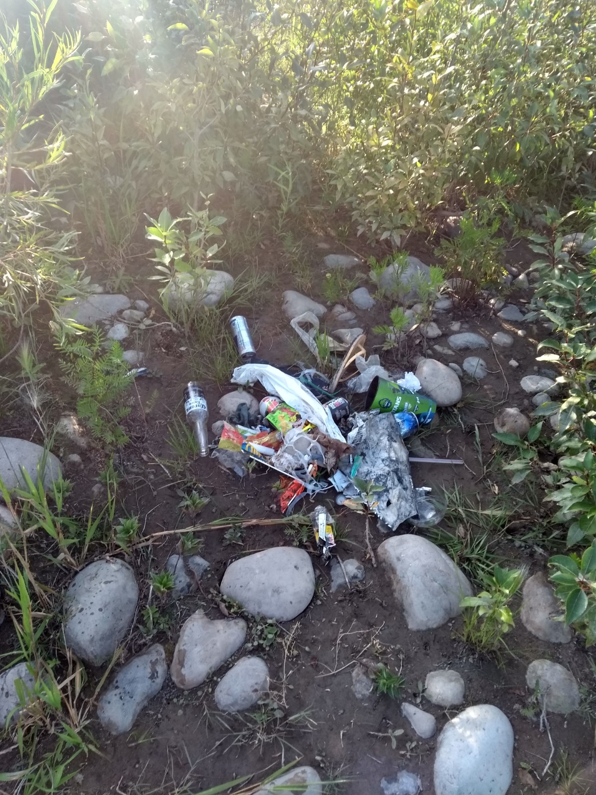 ‘We found feces fairly close to the river’ Calgary cleanup crews find