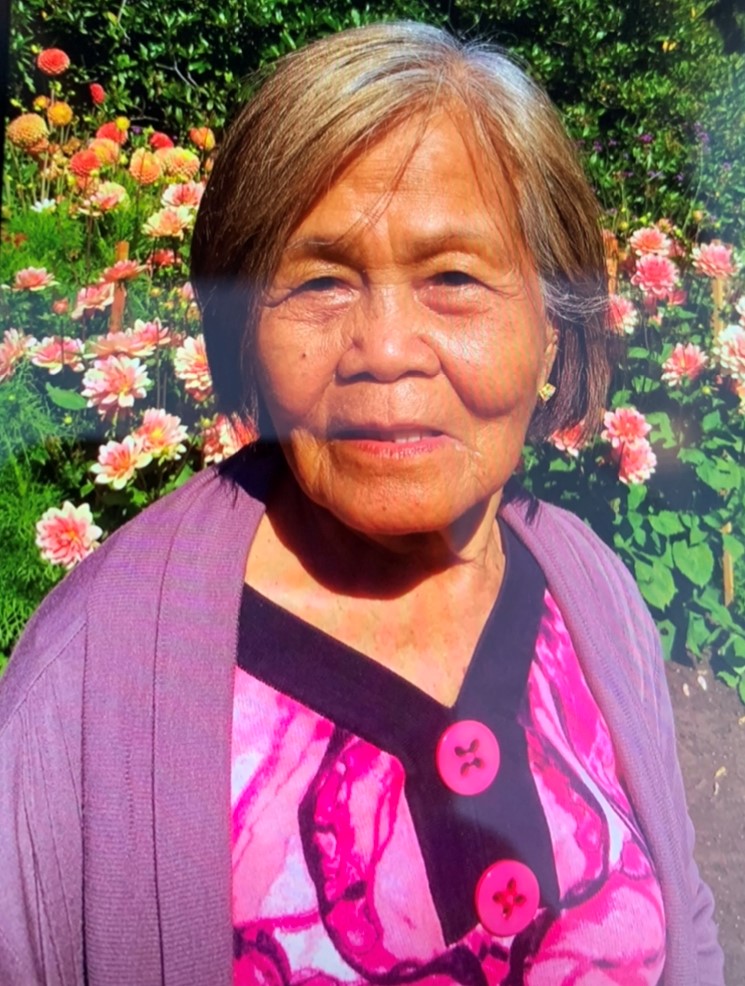 Vancouver police say missing 77-year-old senior Teresa Gabriel, who has dementia has been found safe.