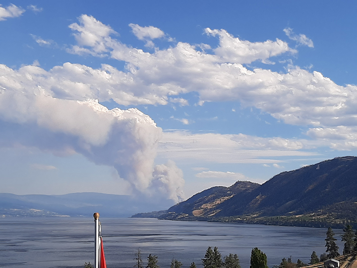 South Okanagan wildfire estimated at 1,000 hectares; evacuation alert issued for 3,600 properties - image