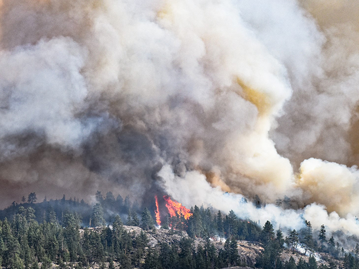 Flames can be seen from the Mount Christie wildfire on Tuesday afternoon.