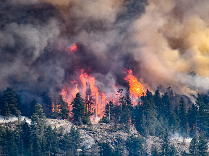 A close-up of flames from the Mount Christie wildfire.