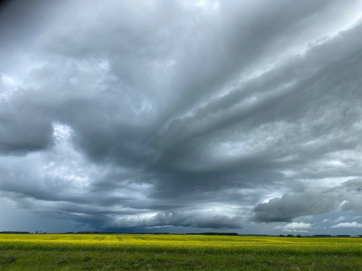 Best of ‘Your Manitoba’ photos in July 2020 Winnipeg Globalnews.ca