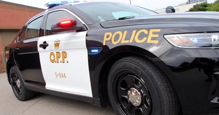3 men from Mexico killed in eastern Ontario crash