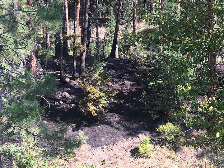 The fire was around five kilometres north of the interchange of Highway 97 and Highway 97C between West Kelowna and Peachland.