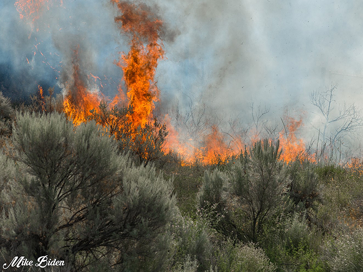 The wildfire that raged earlier Thursday morning near Penticton.