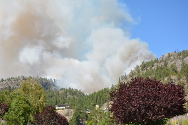 South Okanagan Wildfire Estimated At 1,000 Hectares; Evacuation Alert ...