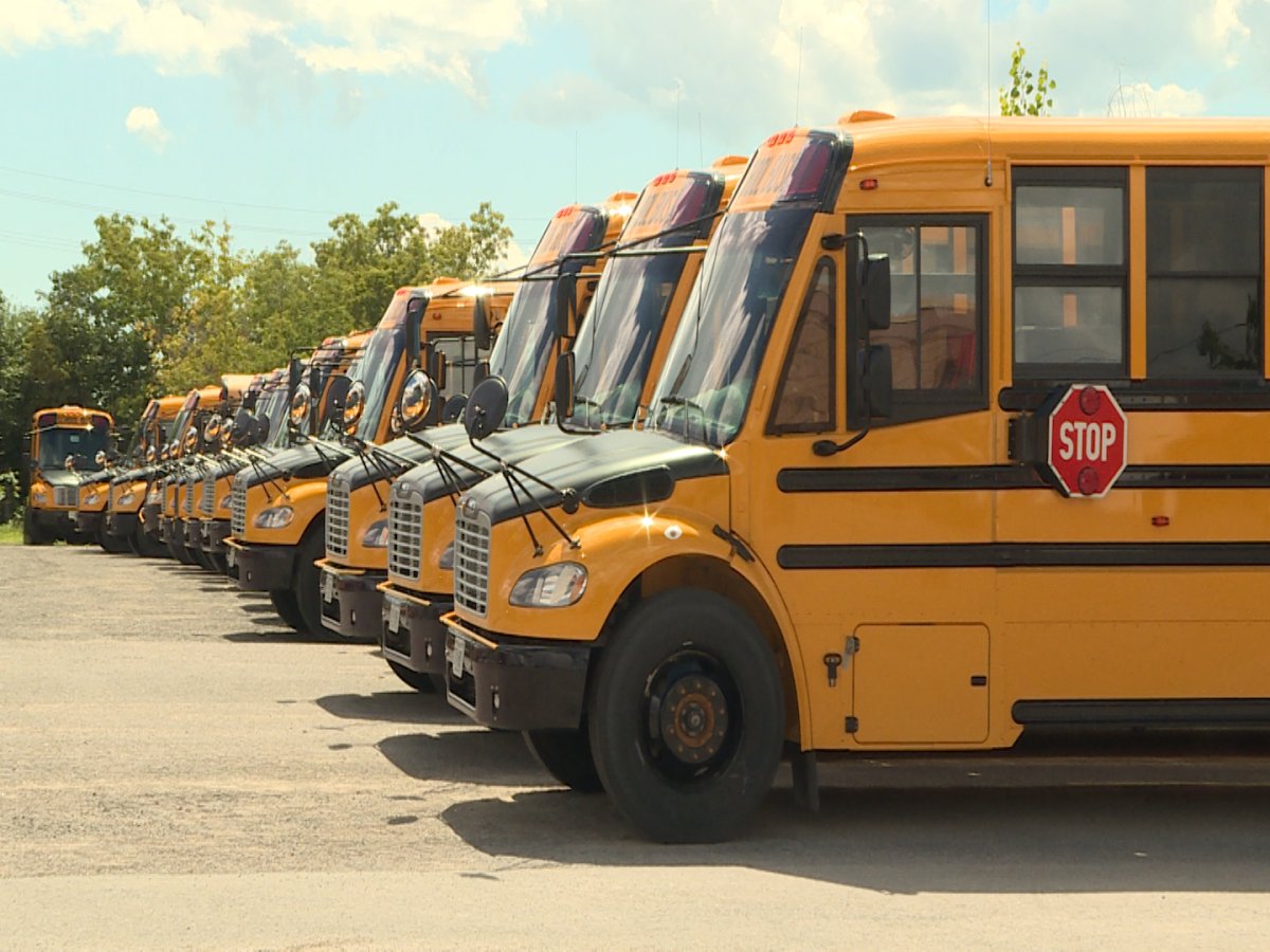 Coronavirus: Quebec school bus drivers want to be informed of positive cases they’ve transported - image