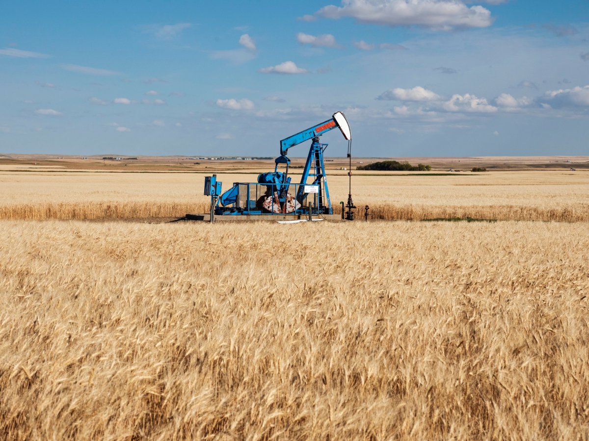 Situated in the middle of a farmer's wheat field an oilfield pumpjack belonging to Whitecap Resources works away pumping crude oil, Gull Lake, Saskatchewan on Sunday, September 9, 2018. 